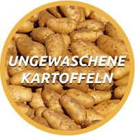 Ungewaschene Kartoffeln